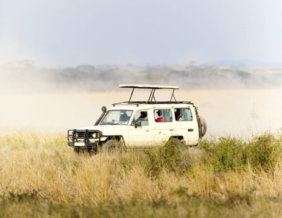 Jeep Safari